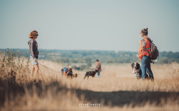 Combler les besoisn de son chien avec les balades sociales à Falaise- crédit photo : Cindy Obitz