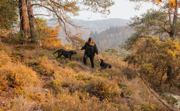 Comprendre ses chiens aux Roches d'Oëtres /Crédit photo : Cécile Schuhmann