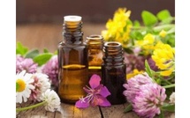 Conseils en Fleurs de Bach