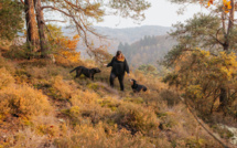 Accompagnement en éducation canine