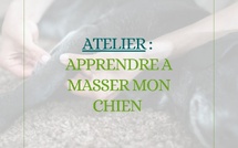 Atelier: apprendre à masser mon chien