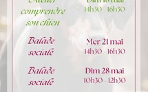 Dates des prochains évènements 