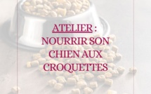 Atelier : nourrir mon chien aux croquettes