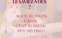 Pet-sitting : promenenades et garde à domicile
