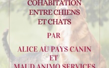 Nouveau : atelier spécial chien-chat !