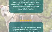Témoignages de la formation d'attestation d'aptitude pour les chiens de catégories