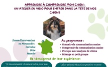 Atelier : Comprendre mon chien